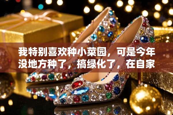 我特别喜欢种小菜园，可是今年没地方种了，搞绿化了，在自家凉台怎么种喜欢的菜？