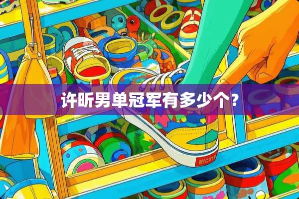 许昕男单冠军有多少个？