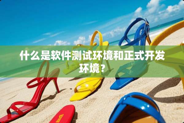 什么是软件测试环境和正式开发环境？