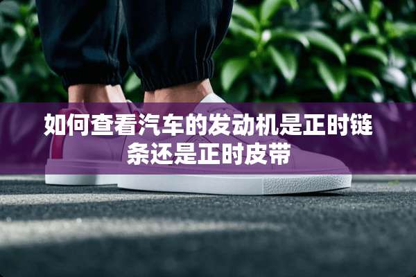 如何查看汽车的发动机是正时链条还是正时皮带