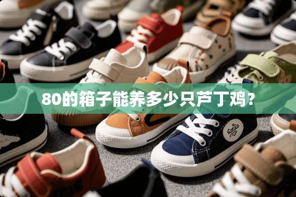 80的箱子能养多少只芦丁鸡？