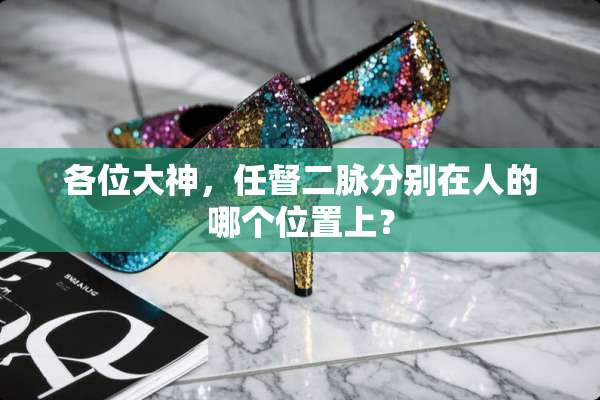 各位大神，任督二脉分别在人的哪个位置上？