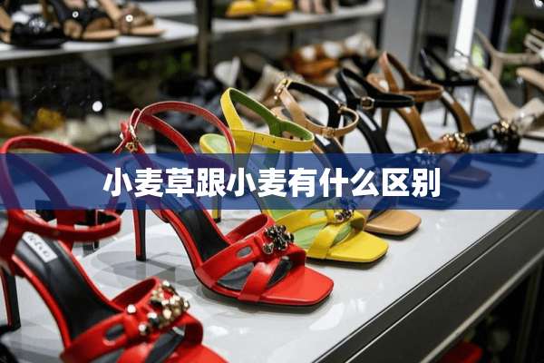 小麦草跟小麦有什么区别