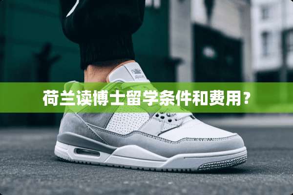 荷兰读博士留学条件和费用？