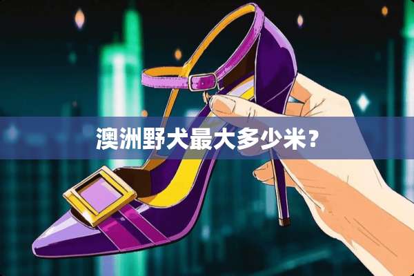 澳洲野犬最大多少米？