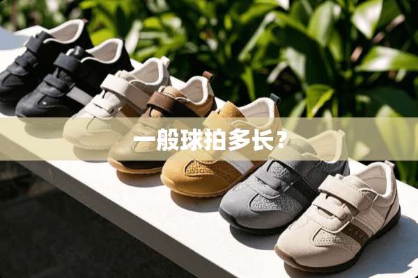 一般球拍多长？