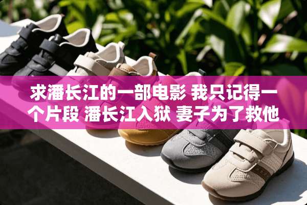 求潘长江的一部电影 我只记得一个片段 潘长江入狱 妻子为了救他和别人