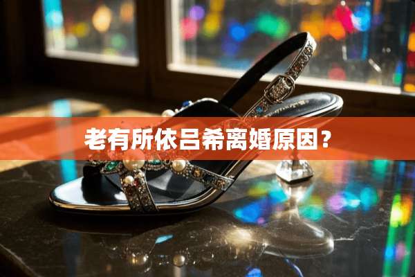 老有所依吕希**原因？