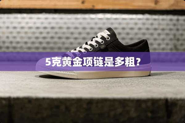 5克黄金项链是多粗？