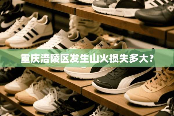 重庆涪陵区发生山火损失多大？