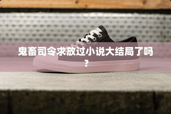 鬼畜司令求放过小说大结局了吗？