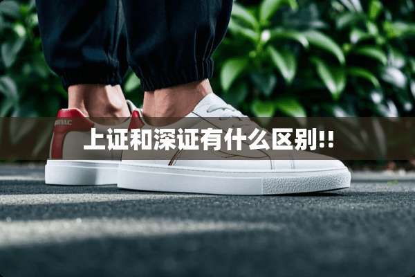 上证和深证有什么区别!!