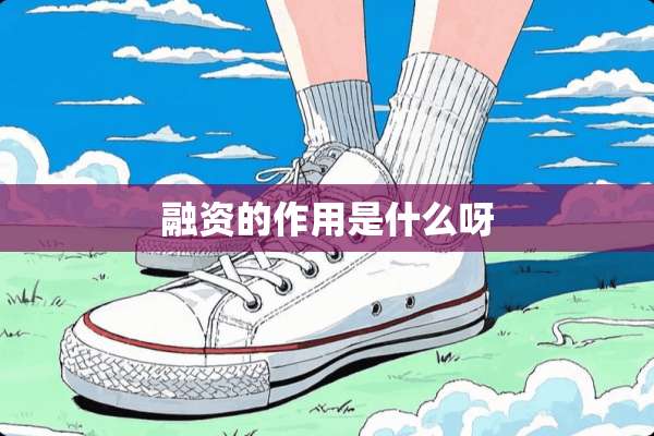 融资的作用是什么呀