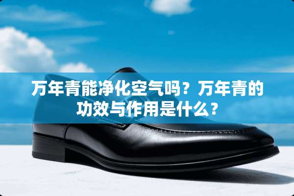 万年青能净化空气吗？万年青的功效与作用是什么？