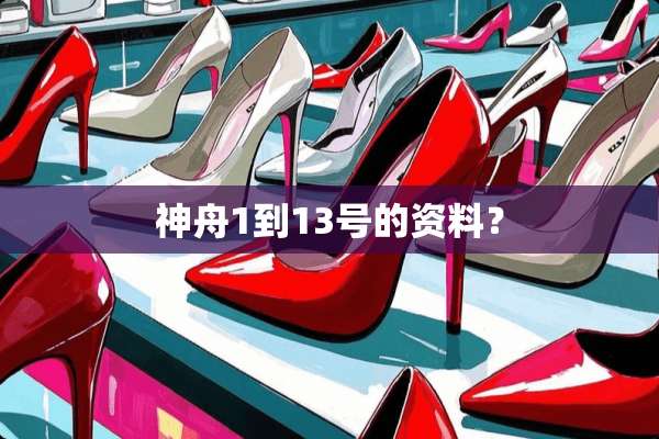 神舟1到13号的资料？