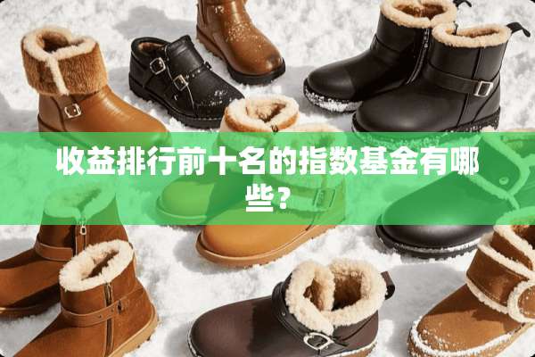 收益排行前十名的指数基金有哪些？