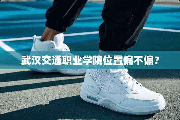 武汉交通职业学院位置偏不偏？