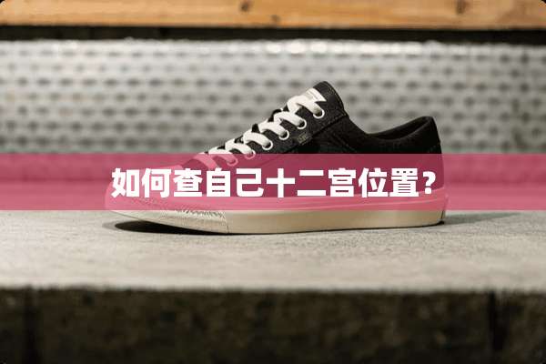 如何查自己十二宫位置？