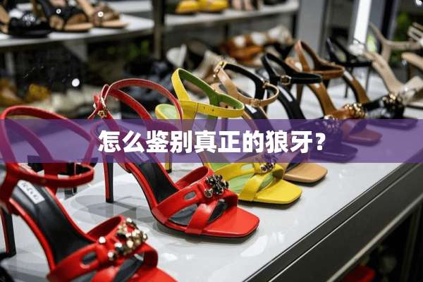 怎么鉴别真正的狼牙？
