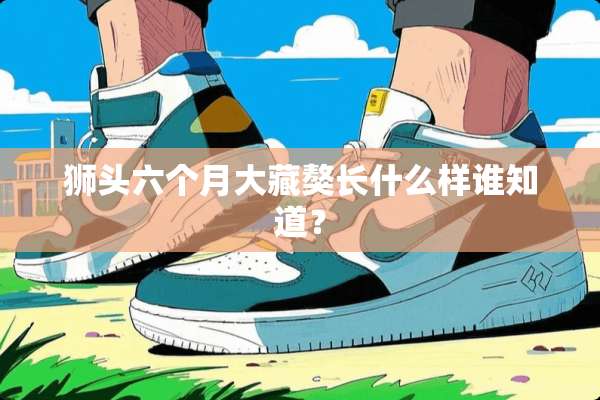 狮头六个月大藏獒长什么样谁知道？