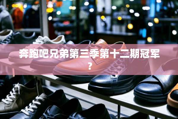奔跑吧兄弟第三季第十二期冠军？