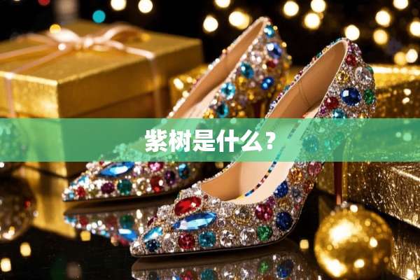 紫树是什么？