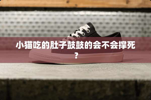 小猫吃的肚子鼓鼓的会不会撑死？