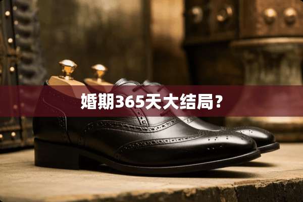 婚期365天大结局？