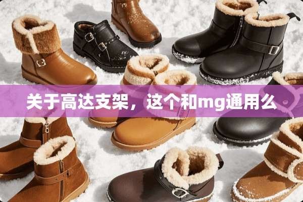 关于高达支架，这个和mg通用么