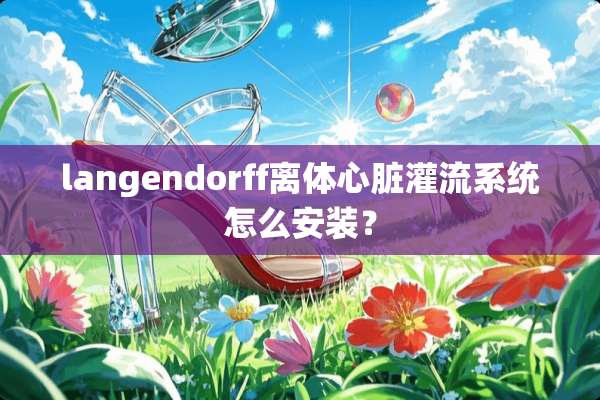langendorff离体心脏灌流系统怎么安装？