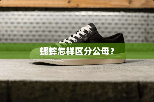 蟋蟀怎样区分公母？