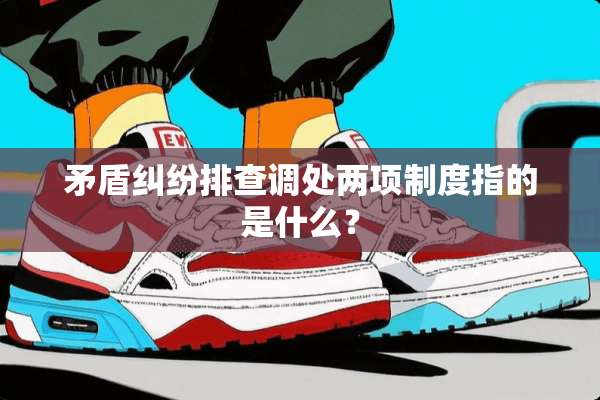 矛盾纠纷排查调处两项制度指的是什么？