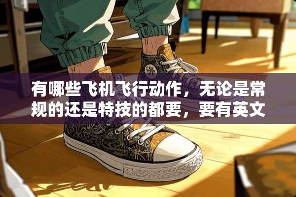 有哪些飞机飞行动作，无论是常规的还是特技的都要，要有英文名称