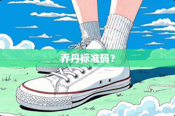 乔丹标准码？