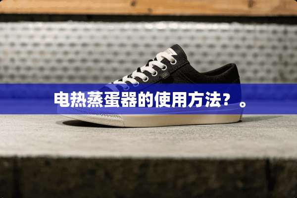 电热蒸蛋器的使用方法？。