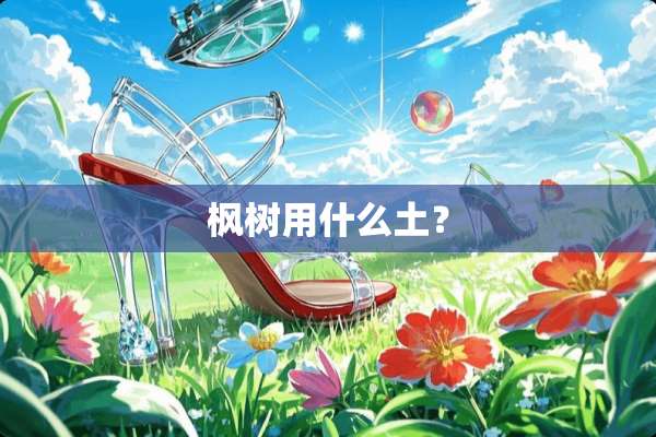 枫树用什么土？