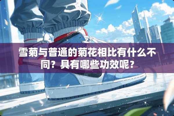 雪菊与普通的菊花相比有什么不同？具有哪些功效呢？