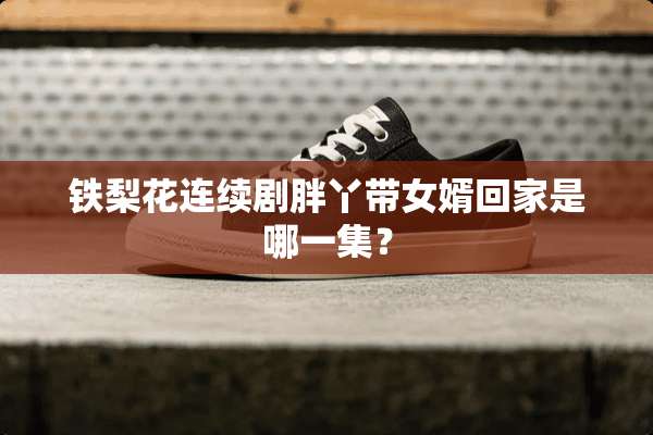 铁梨花连续剧胖丫带女婿回家是哪一集？