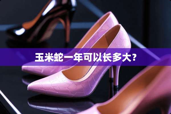 玉米蛇一年可以长多大？