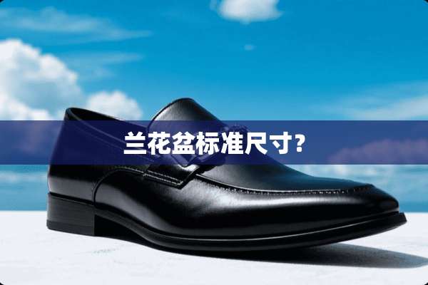 兰花盆标准尺寸？