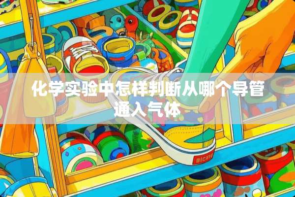 化学实验中怎样判断从哪个导管通入气体