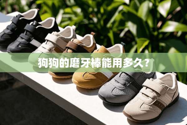 狗狗的磨牙棒能用多久？