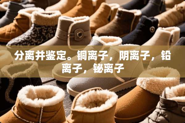 分离并鉴定。铜离子，*离子，铅离子，铋离子