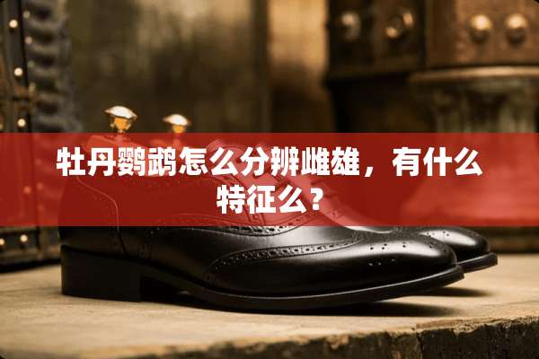 牡丹鹦鹉怎么分辨雌雄，有什么特征么？