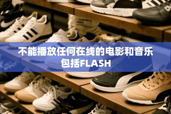 不能播放任何在线的电影和音乐包括FLASH