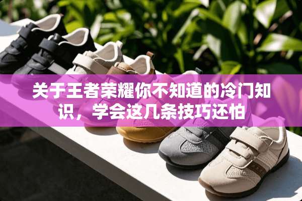 关于王者荣耀你不知道的冷门知识，学会这几条技巧还怕