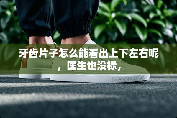 牙齿片子怎么能看出上下左右呢，医生也没标，