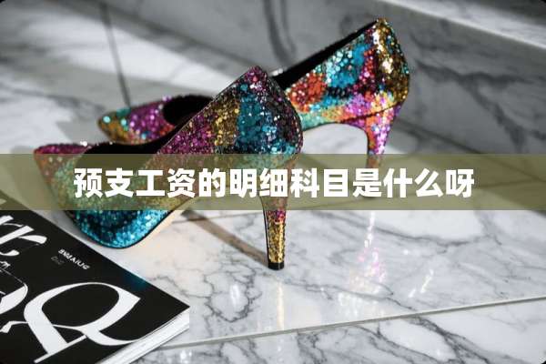 预支工资的明细科目是什么呀