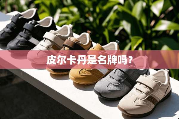 皮尔卡丹是名牌吗？