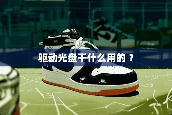 驱动光盘干什么用的 ？
